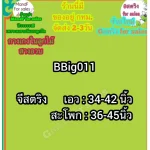 จีสตริงไซซ์ใหญ่ BBig011 | G For sales